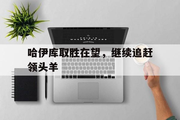 哈伊库取胜在望，继续追赶领头羊的简单介绍