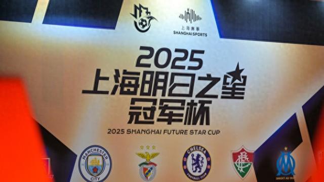 东南亚足球赛：足球王国对飙谁更尽兴的简单介绍
