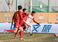 湖南河北豹队备战决胜局，实力过硬