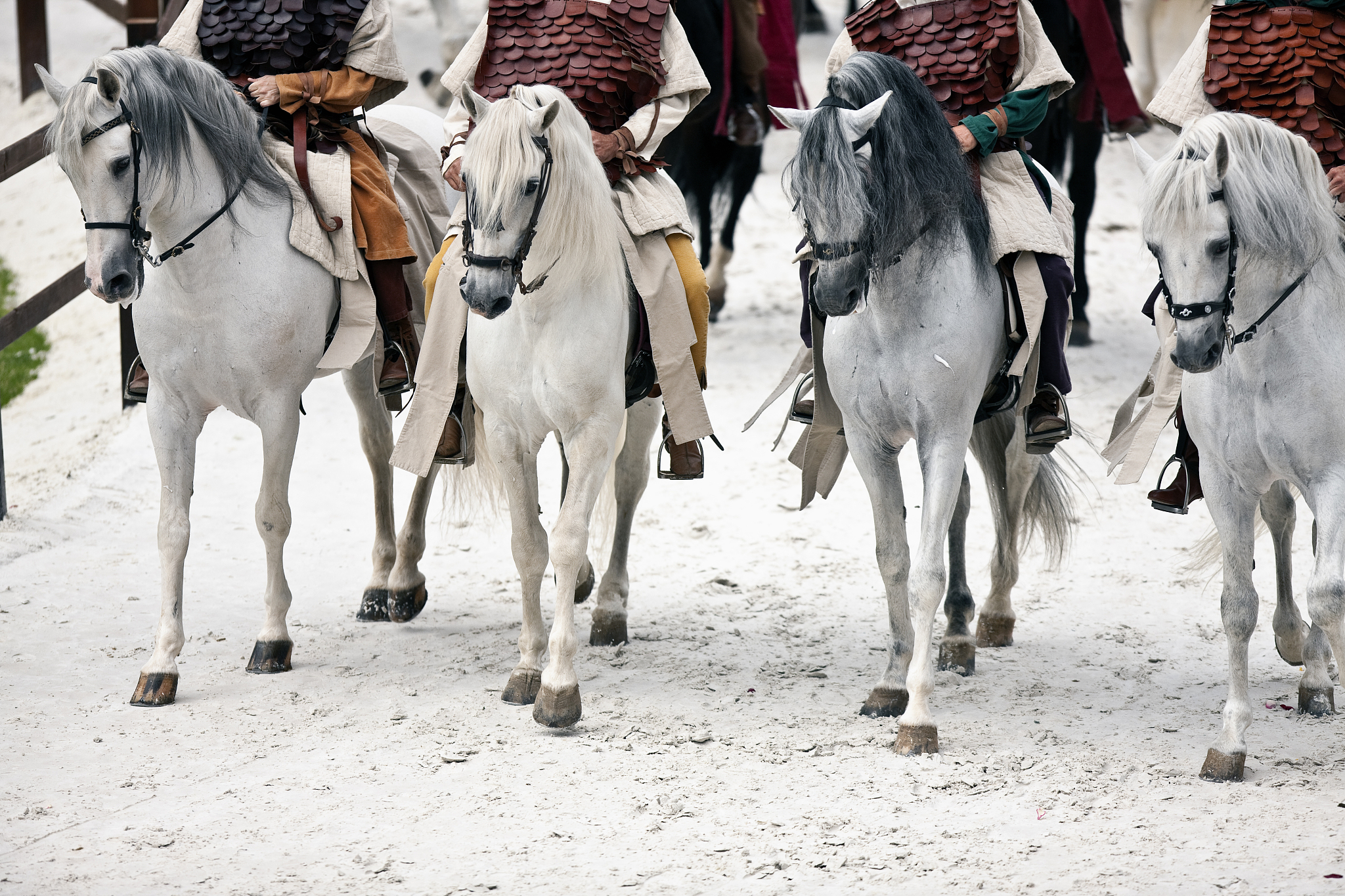 赛马比赛惊险刺激!英国马匹奋力追赶夺冠!的简单介绍 赛马比赛惊险刺激!英国马匹奋力追赶夺冠!的简单介绍
