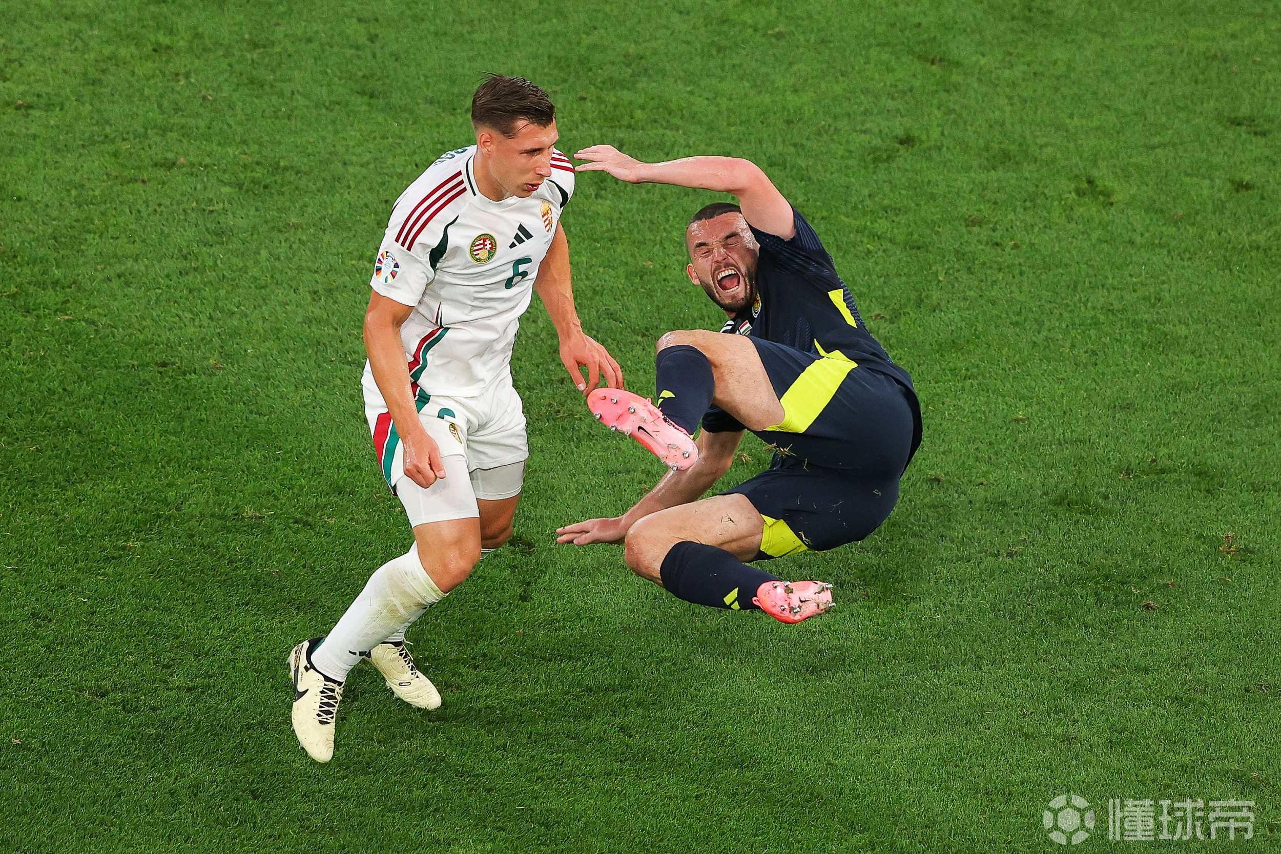 开云体育app-欧洲杯：德国击败匈牙利，托马斯-穆勒破门得分的简单介绍