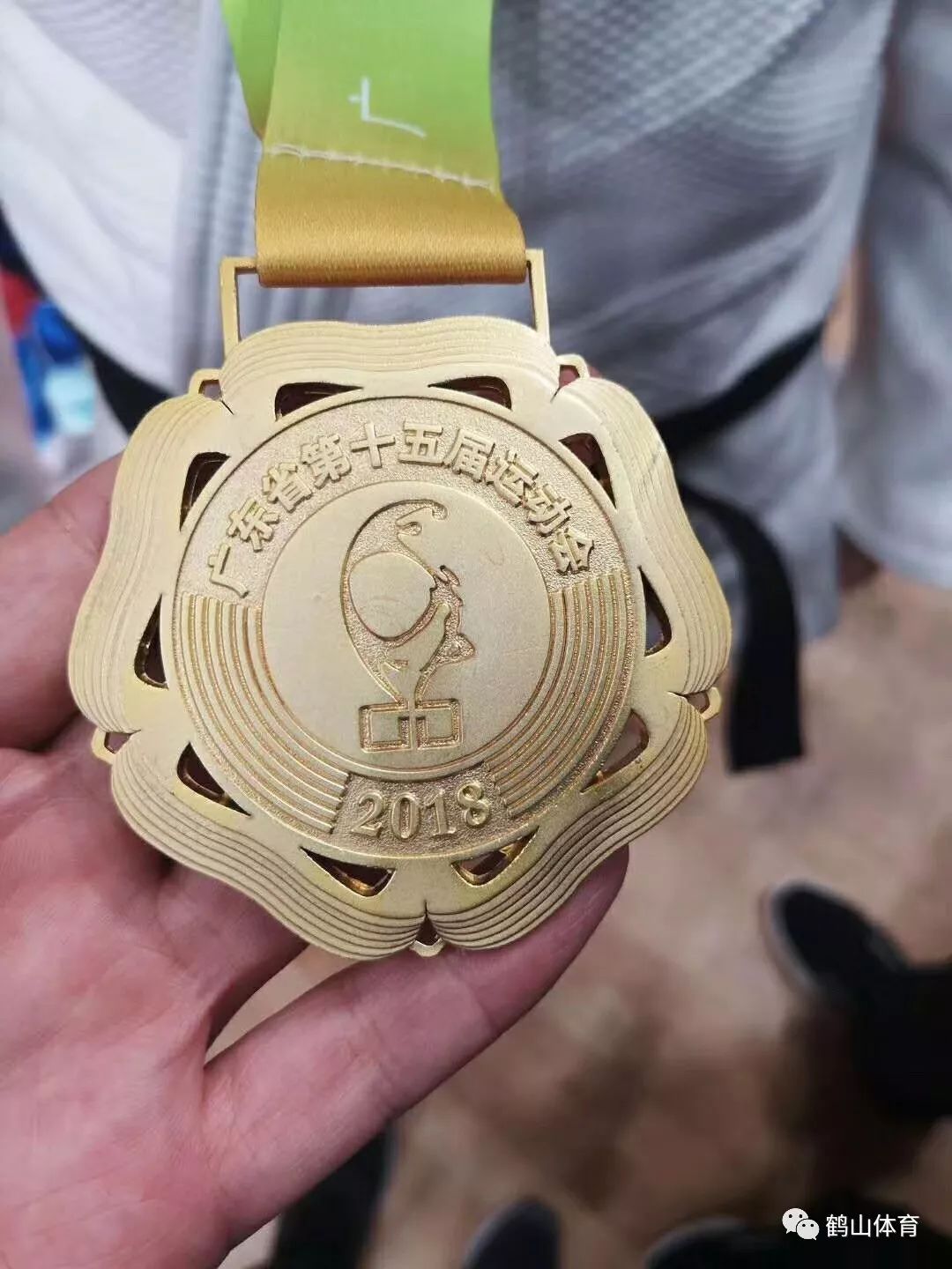 开云官网-危地马拉击剑选手精妙技术取胜，勇夺金牌的简单介绍